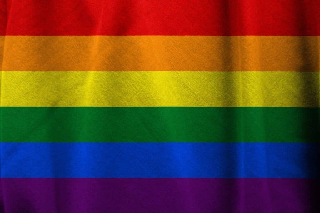 LGBTQIA+ Community Flag